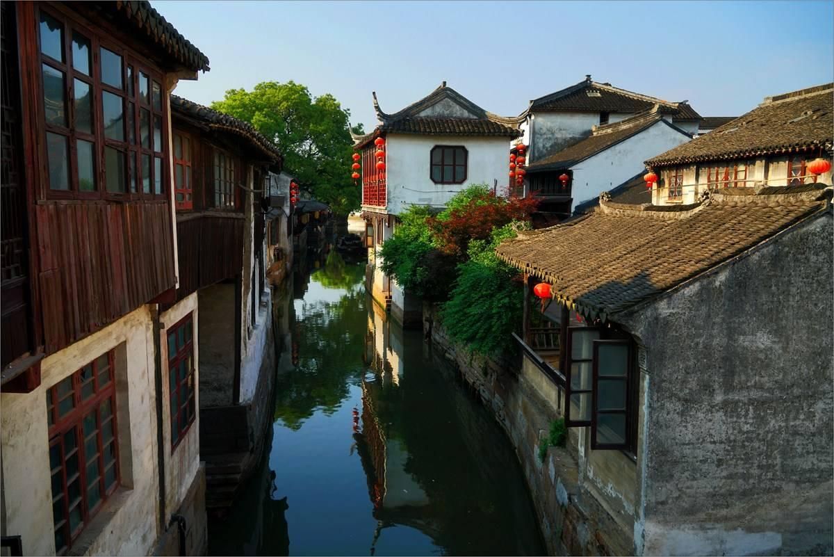 救援小肥兔